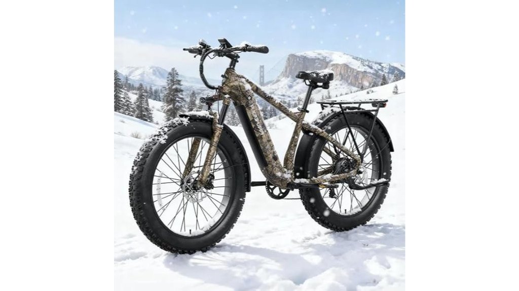 fat tire electric bike